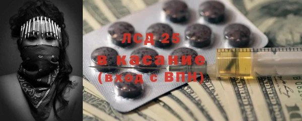 стафф Новозыбков