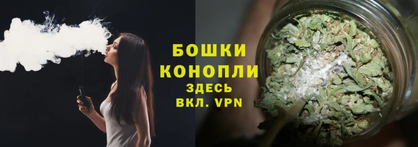 дживик Болхов