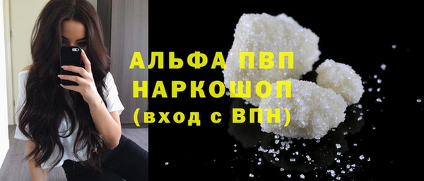 стафф Новозыбков