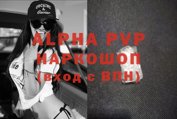 стафф Новозыбков