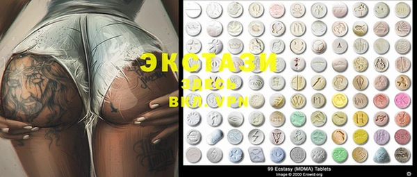 стафф Новозыбков