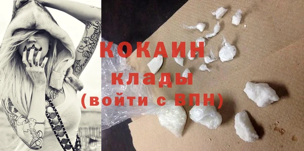 стафф Новозыбков