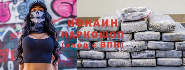 стафф Новозыбков