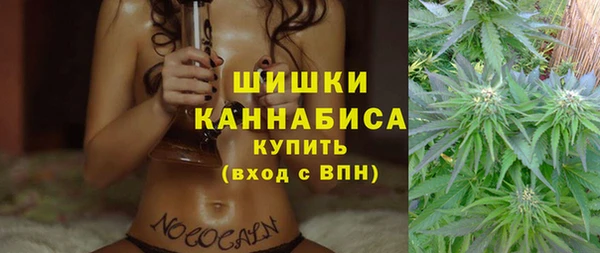 крисы Новокубанск