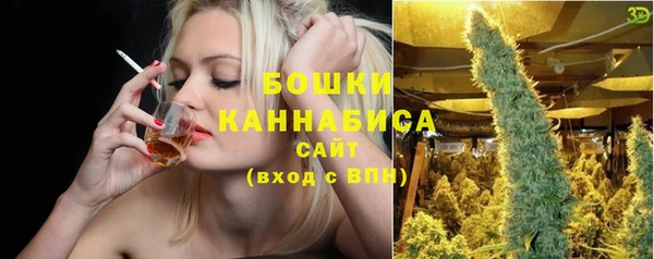 стафф Новозыбков