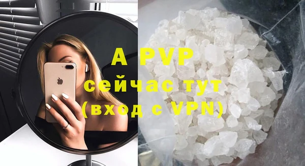 стафф Новозыбков