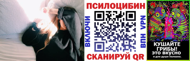 Псилоцибиновые грибы Psilocybine cubensis  Чистополь 