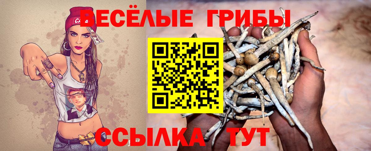 Псилоцибиновые грибы мицелий  Вход с VPN  Чистополь 